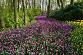 Met Office UK weather forecast confirms Spring will finally arrive this week - when temperatures will rise