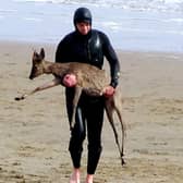 A paddleboarder carries a deer out of the water at Cleethorpes, northeast Lincs. 