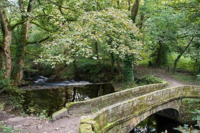 Rivelin Valley