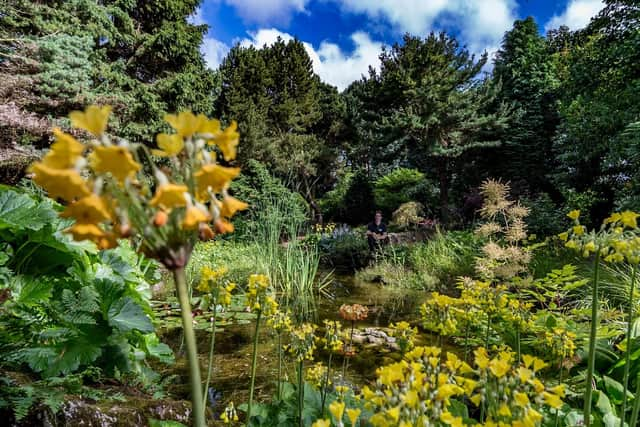 There are five acres of gardens at Goddards House