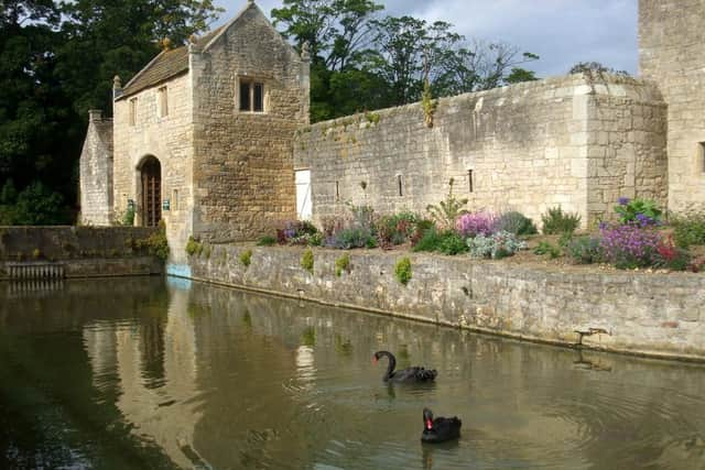 Black swans Sebastian and Sylvia are descended from birds donated to the family by London Zoo in the 1980s