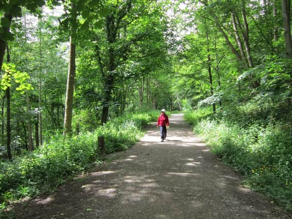 Nidd Gorge in Harrogate.