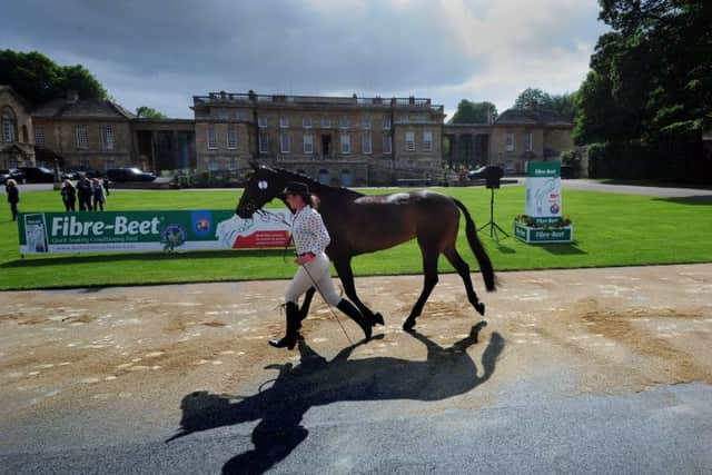 Hazel Towers with her horse Simply Clover is pictured on the Trot Out. Picture by Simon Hulme