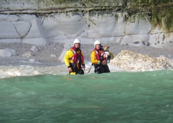 Lifeboat crew rescue the dog from a cave