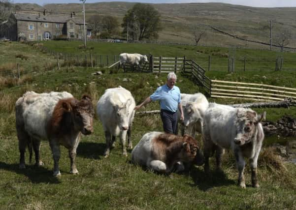 Chris Clark, who runs Nethergill Farm near Buckden. Picture by Bruce Rollinson.