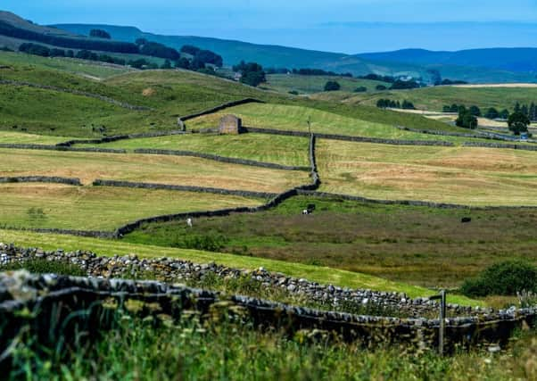 Farmers are incurring significant extra costs as a result of the continued hot, dry conditions. 
Picture by James Hardisty.