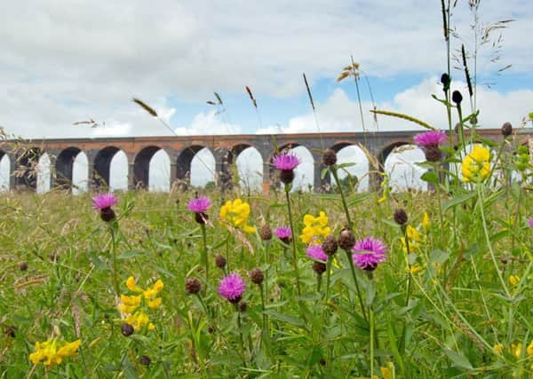 A group of Yorkshire Dales farmers will continue to receive support to pilot a scheme that sees them get paid for the environmental gains that they deliver on meadows and pastures.