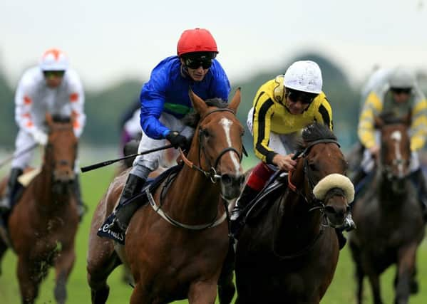 York winner Wells Farhh Go lines up in today's bahrain Trophy, a key St Leger trial, for Great Habton trainer Tim Easterby.