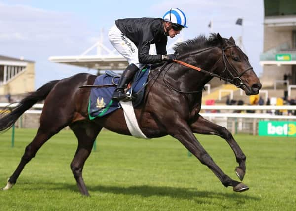 Mark Johnston's Elarqam will line up in tomorrow's Sky Bet York Stakes.