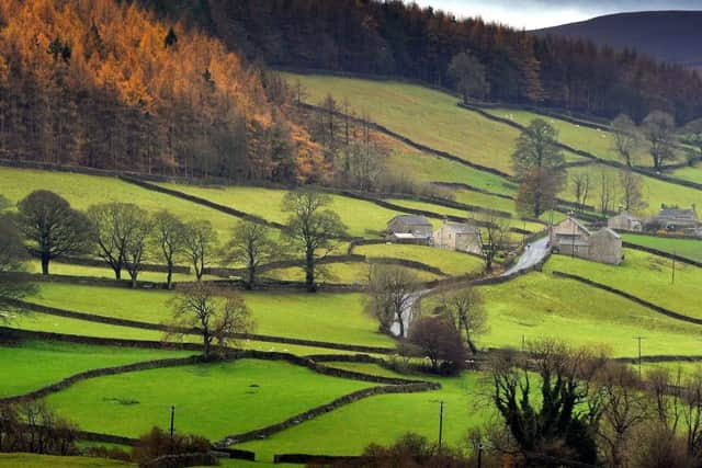 21 November 2017......    Picture Post
Stangs Lane on the Yorkshire Dales Cycle Way near Appletreewick, in Wharfedale.  Technical details, Nikon D3s 80-200mm lens, 1.6 second exposure 125th @f7.1, 640 ISO. Picture Tony Johnson.