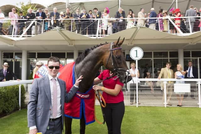 Trainer David Griffiths celebrates Take Cover's King George Stakes win in 2016.