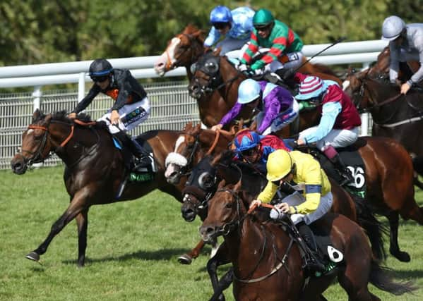 Justanotherbottle and Ger O'Neill, in yellow, silks lead the Jason Watson-ridden Gifted Master (red star on cap) in a frantic finish to last weekend's Stewards Cup at Goodwood.