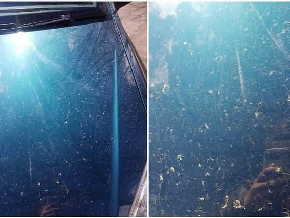 Residents could wake up to a heavy covering of red dust on their cars on Friday PIC; Paige Parkin