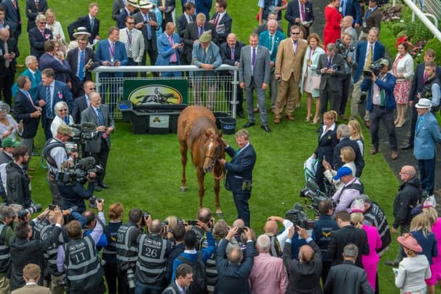 An aerial view after Poet's Society provided Mark Johnston with a record 4,194th winner.