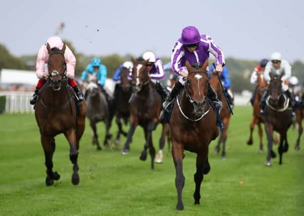 Kew Gardens ridden by Ryan Moore wins the William Hill St Leger Stakes.