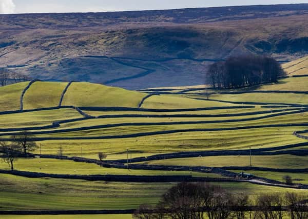 Start considering how to build resilience, farm businesses were told at the Northern Farming Conference in Hexham. Picture by James Hardisty.