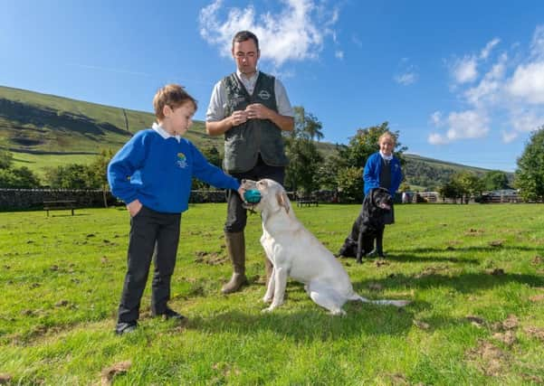 Outdoor lessons are said to benefit the wellbeing of children.