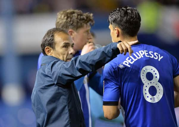 Owls manager Jos Luhukay with Joey Pelupessy (Picture: Steve Ellis)