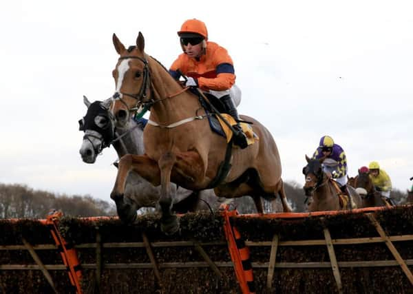 Sam Spinner ridden by Joe Colliver.