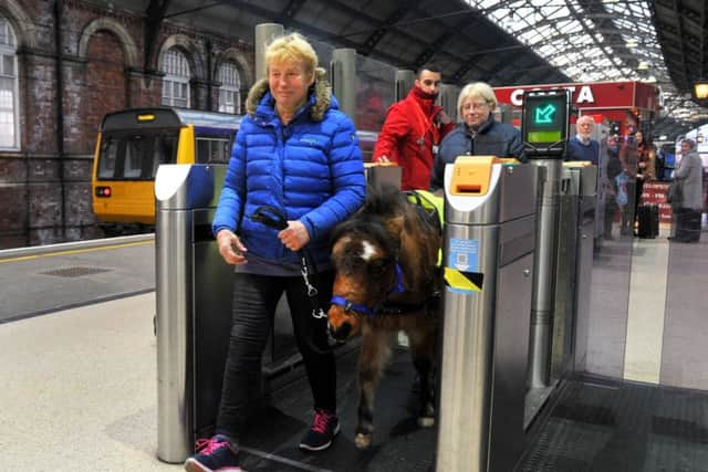 Digby was calm amongst passengers.