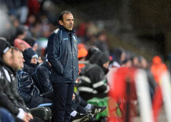 Owls manager Jos Luhukay.   Pic Steve Ells