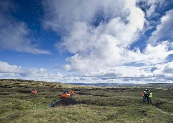 Think-tank IPPR North wants a major review of how the uplands are managed to protect and enhance precious peatlands.