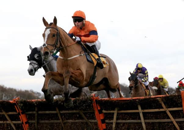 Sam Spinner ridden by Joe Colliver