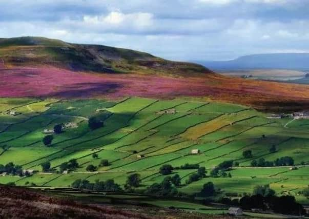 The Yorkshire Dales National Park.