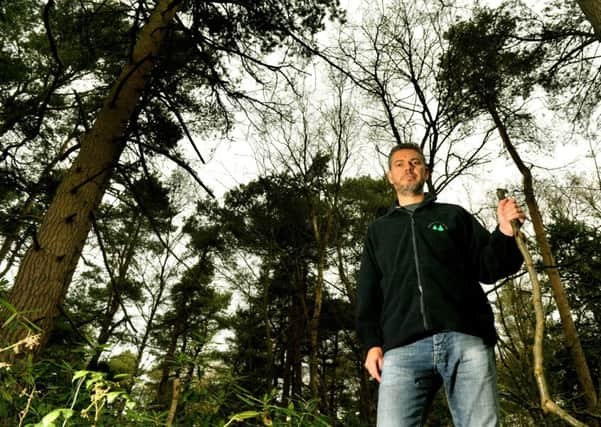 Neil Hind Chairman of the Pinewoods Conservation Group in Harroagte walking through Pinewoods.