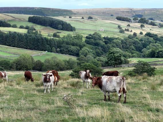 The nutritional value of dairy products will be promoted via cinema advertising as part of a marketing campaign led by industry groups.