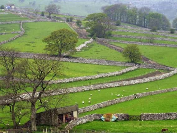 The lack of clarity about the trading environment facing the food and farming sector is now an untenable. Picture by Gary Longbottom.