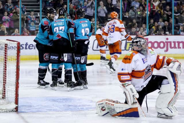 Belfast Giants' Kyle Baun celebrates scoring past Sheffield Steelers' netminder Jackson Whistle at the SSE arena.    Picture: William Cherry/Presseye/EIHL.