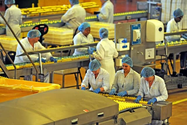 26 March 2019 ......   Premier Foods' Mr Kipling factory in Carlton, Barnsley, producing all their Easter products.  Picture Tony Johnson.