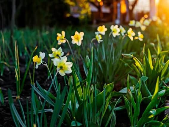 Easter will be shortly upon us, but with the bank holiday weekend just around the corner what is the weather set to be like in Yorkshire?