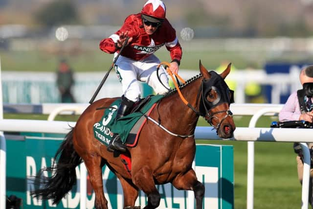 Tiger Roll and Davy Russell celebrate their second successive Grand National win.