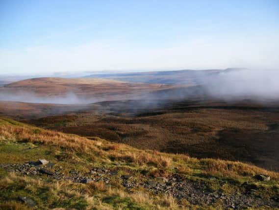 The vast majority of Yorkshire's 70,000 hectares of peatland is badly damaged, according to Yorkshire Wildlife Trust. Picture by Gordon Haycock/ Yorkshire Wildlife Trust.