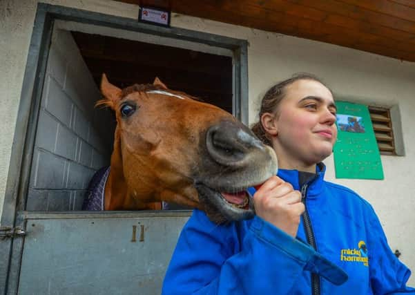 Strait Run competes in todays Enjoy Racehorse Ownership Jamaican Flight Handicap at Pontefract (Picture: James Hardisty).