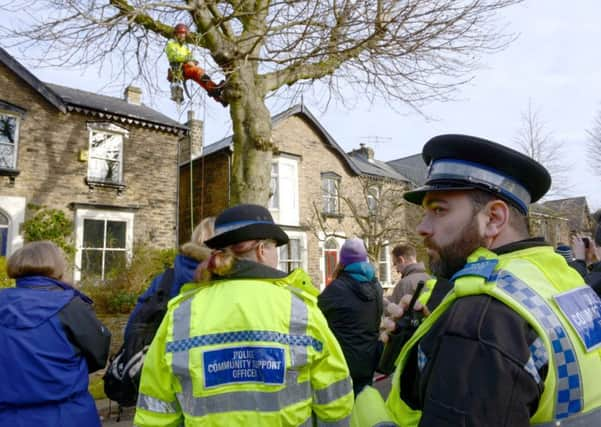 One of the Sheffield tree protests.