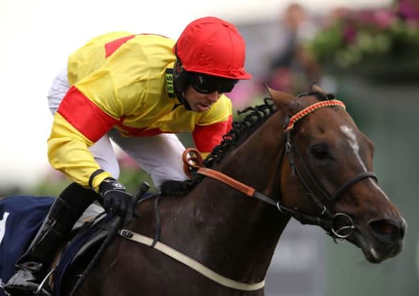 Alpha Delphini won last season's Nunthorpe Stakes under Graham Lee.