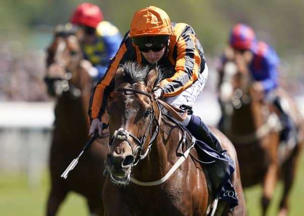 Derby hope: Oisin Murphy partners Telecaster in the Epsom Derby.