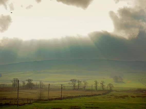 Campaigners want the Government to make sure proposals to provide a single rural mobile network pass four key tests. Picture by Tony Johnson.