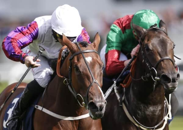 Going for glory:  PJ McDonald and Laurens, left. Picture: Alan Crowhurst/Getty Images