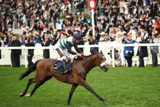 Oisin Murphy and Dashing Willoughby win the Queen's Vase on day two of Royal Ascot.