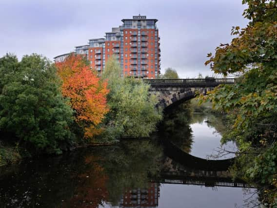 Roger Ratcliffe noted lots of evidence of wildlife flourishing alongside the Leeds-Liverpool Canal close to Leeds city centre. Picture by Bruce Rollinson.