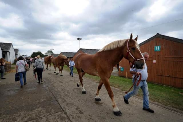 Day two at the 161st Great Yorkshire Show in Harrogate. Picture by Simon Hulme.