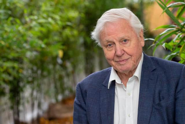 Sir David Attenborough. Credit: SWNS.