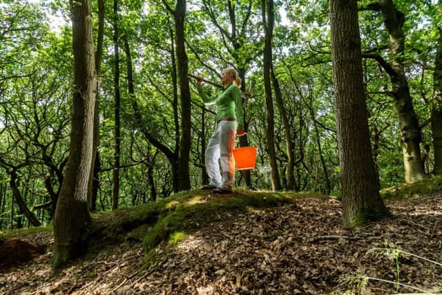 Volunteers help to unearth wartime secrets during a two-week community excavation in Long Wood, near Copley, Halifax.