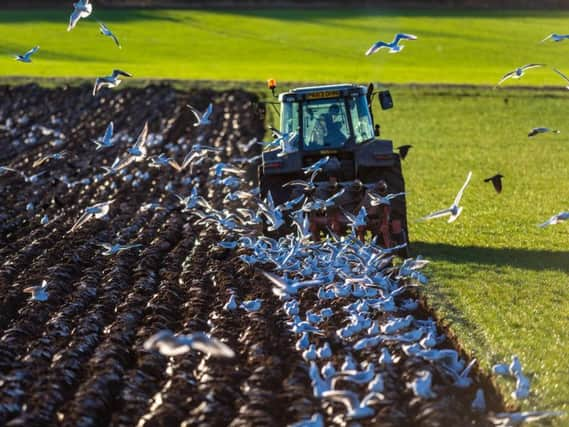 Grow Yorkshire has teamed up with Barclays bank as part of its mission to give farmers the support they need to a new era of farm policy as Britain leaves the European Union. Picture by James Hardisty.