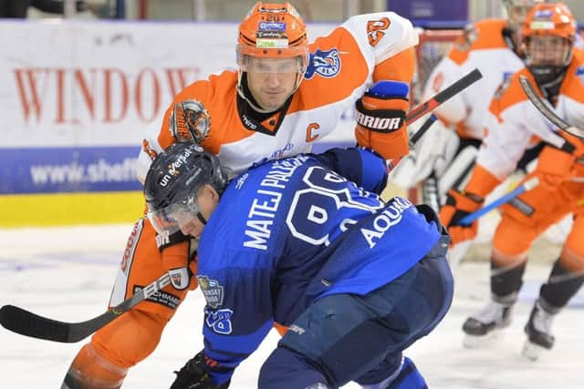 Sheffield Steelers' captain, Jonathan Phillips. Picture: Dean Woolley