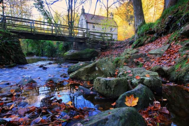 Falling Foss Tea Garden